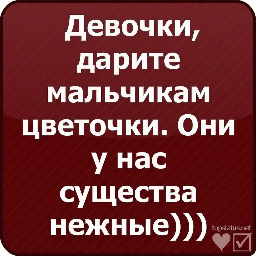 Крутые статусы для девушек. Крутые статусы для девушек. Смешные стишки про диму. Красивая цитата для девушки. Прикольные статусы для девочек.