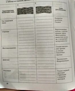 Пользуясь учебником определите