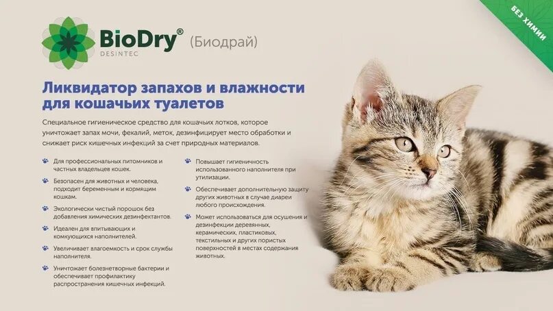 Переводчик человек кошка. БИОДРАЙ. Biodry (БИОДРАЙ) — для кошек. Biodry осушитель. Названия кошачьих туалетов.