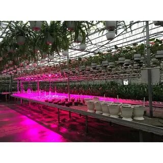 Led results