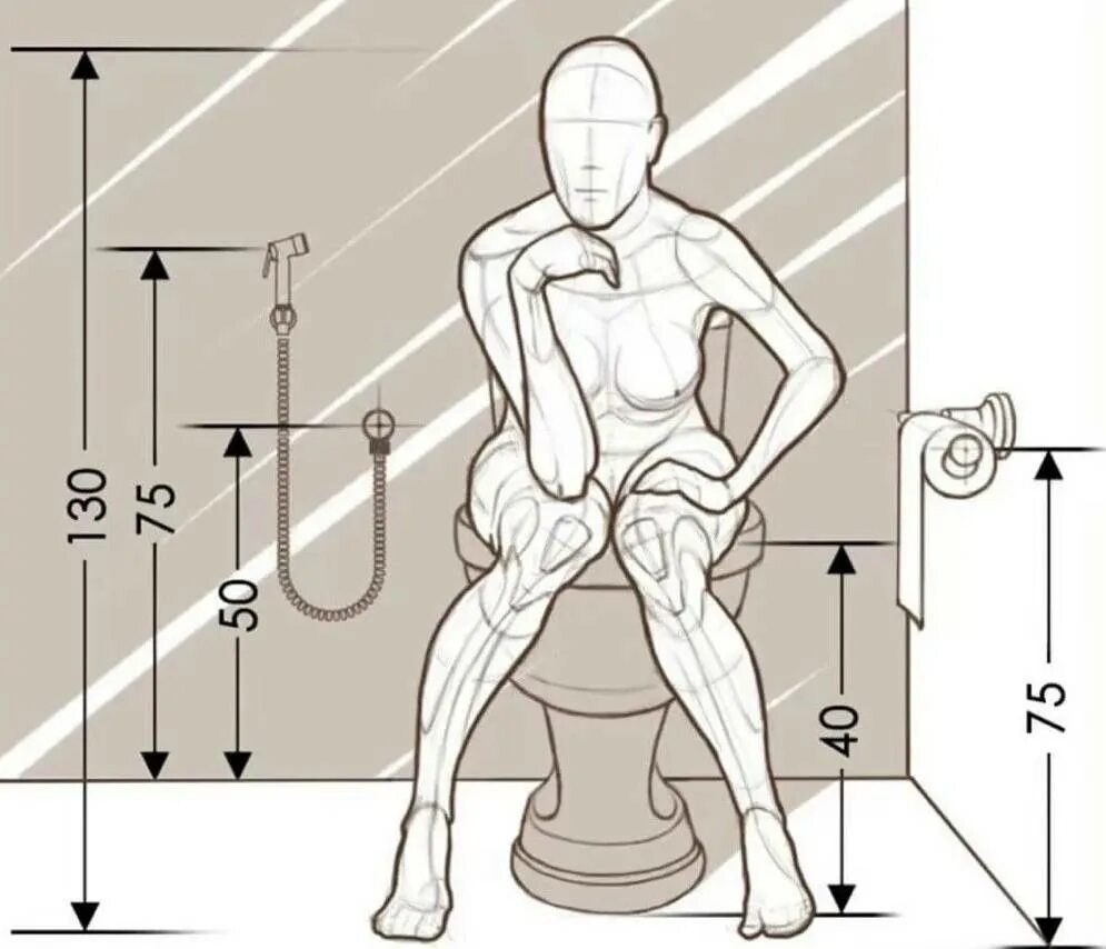 Гигиенический душ grohe dwg. Гигиенический душ высота установки. Гигиенический душ высота от пола. Размещение гигиенического. Эргономика унитаза.