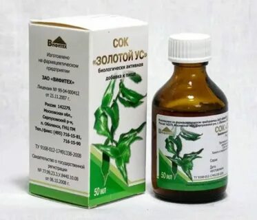 Золотой ус киста