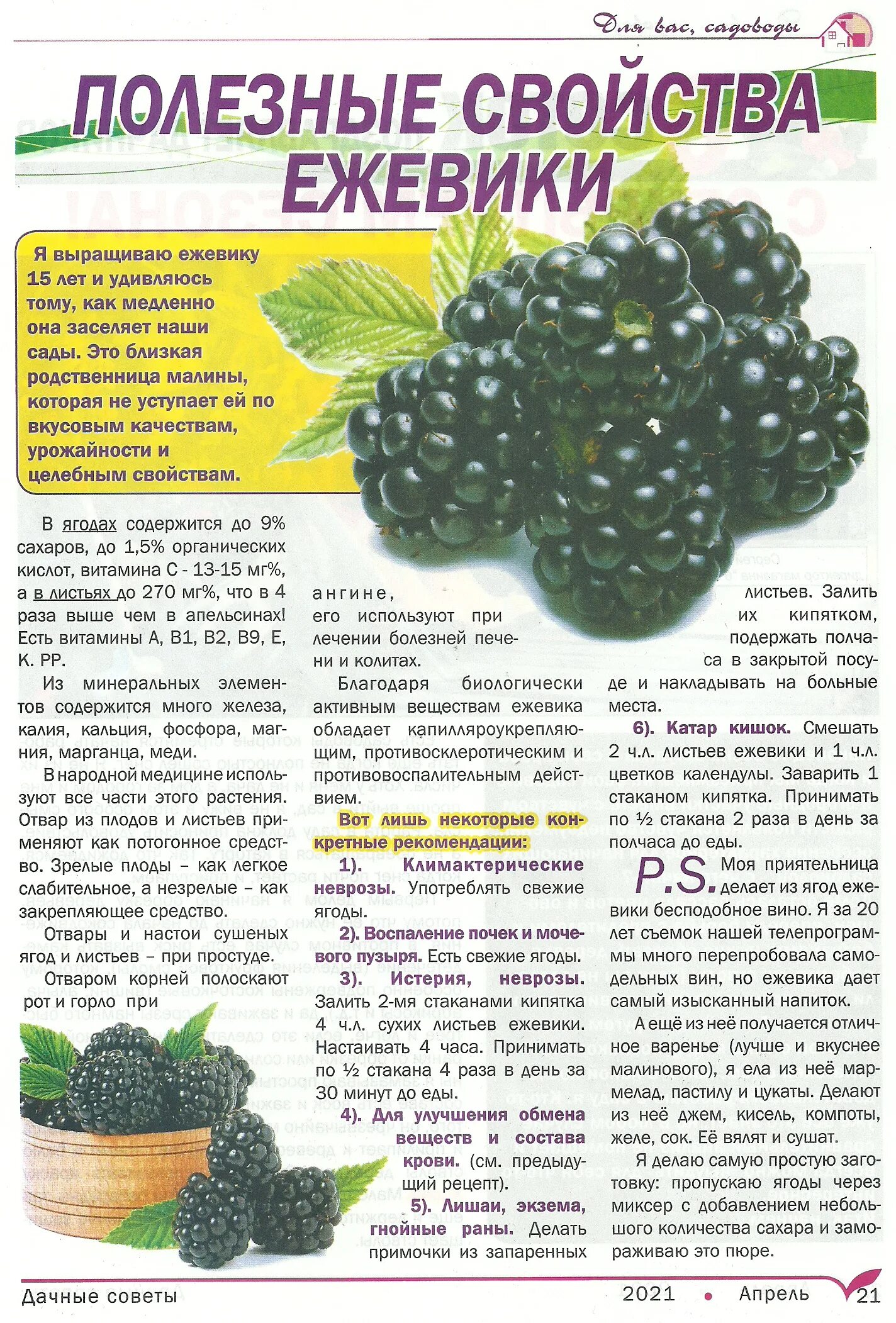 дачные советы. дача советы. дачные советы с галиной старосельцевой. дачные советы. дача советы.