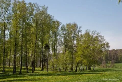 Поляна курганская область