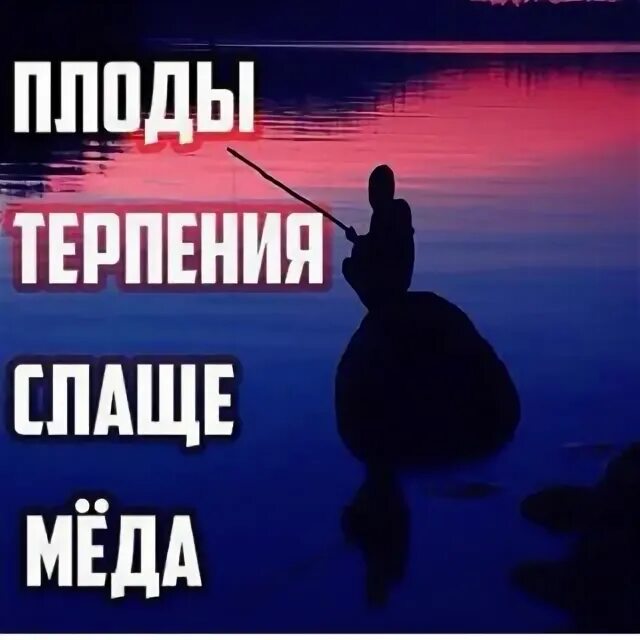 Терпение плоды. Терпение растение но в плодах его сладость. Плод терпения сладок. Фразы и мысли великих философов. Я терпеливый человек.