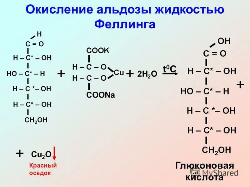 Глюкоза раствор Фелинга реакция. Глюкоза с реактивом Фелинга. Фруктоза и реактив Фелинга. Фруктоза и реактив Фелинга реакция. Фруктоза cu oh