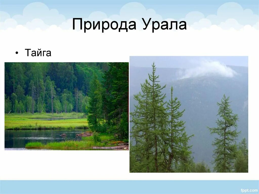 Природа урала 9 класс презентация. Природа Урала презентация. Природа Южного Урала презентация. Природа Урала проект 3 класс. Природа Урала презентация 3 класс.