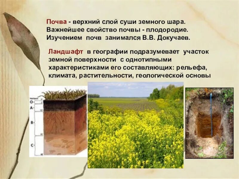 Понятие о почвоведении