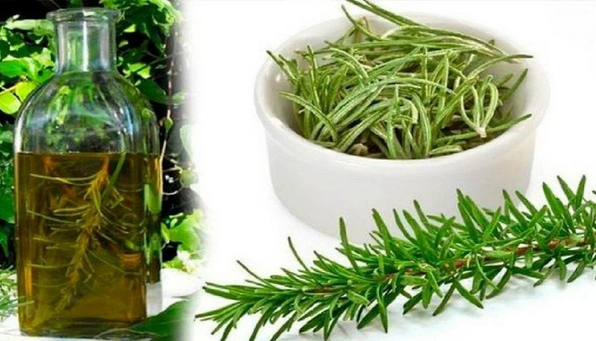 Травы от суставов. Травяной сбор от больных суставов. Травяной сбор от больных суставов. Травы для лечения суставов. Травы при постменопаузе.