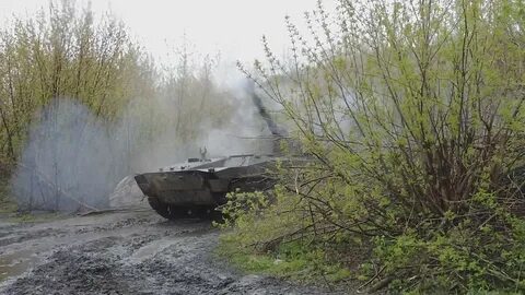 Бои за бердычи