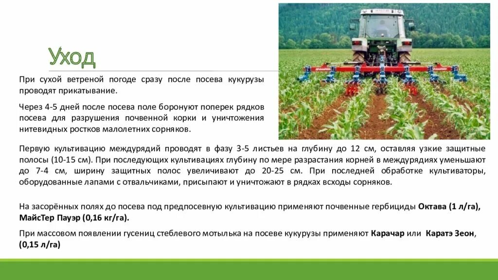 Проводить посевы