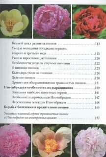 Систематика пиона