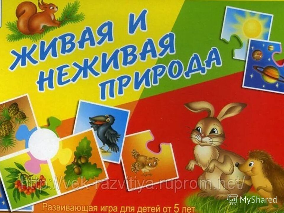 Настольная игра Живая и неживая природа. Живое неживое для дошкольников. Игра Живая природа и неживая природа. Игра живое неживое для дошколят. Игра живая цель