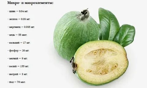 Что содержится в фейхоа
