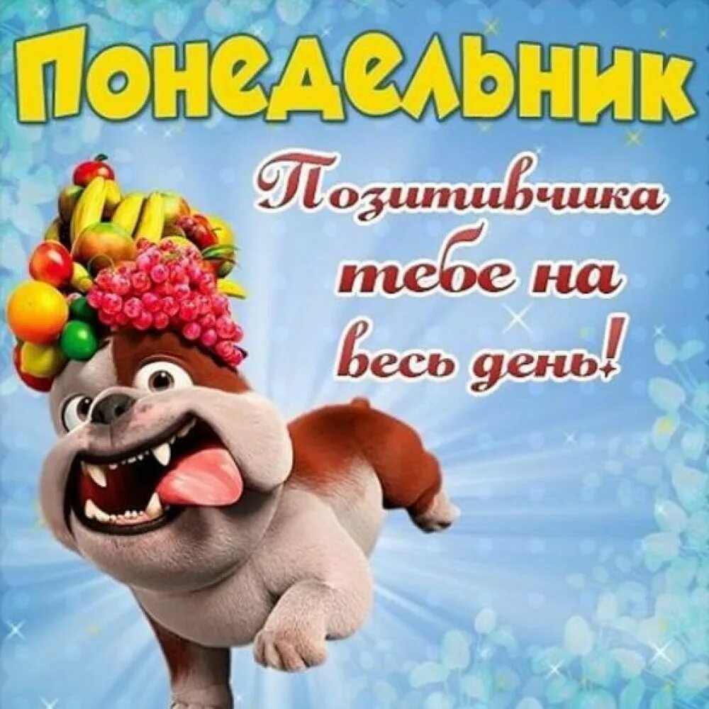 Хорошего дня и отличного картинки прикольные позитивные. Открытки с понедельником прикольные. открытки с добрым утром прикольные. с понедельником прикольные пожелания. забавные открытки с добрым утром.