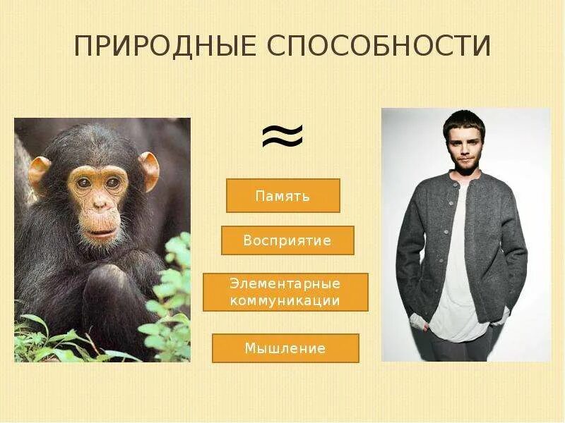 Способности природные основы способностей. Задатки это в психологии. Презентация на тему способности. Задатки примеры. Способности можно классифицировать на.