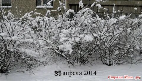 Никак зимой