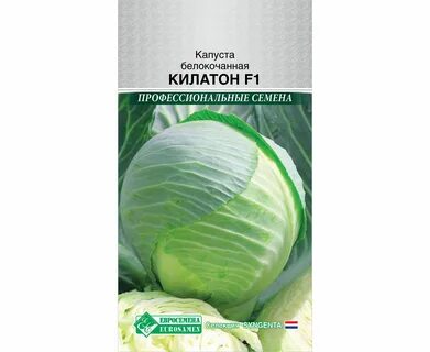 Капуста сорт килатон отзывы