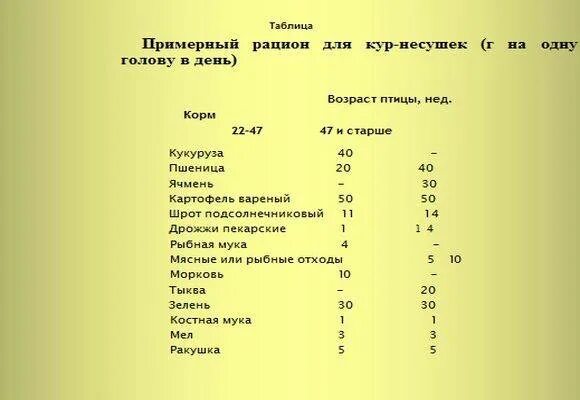 Сколько грамма на 1 курицу. Нормы рационов нормы и рационы кормления кур. Норма зерна на 1 курицу. Нормы потребления комбикорма курами несушками. Норма зерна для курицы несушки в сутки в граммах.