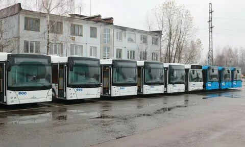 Транспорт брянска телефоны