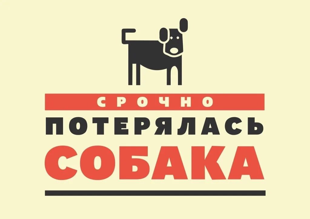 Пропала собака помогите. Пропала собака. Потерялась собака. Потерялся пес. Потерялись щенки надпись.