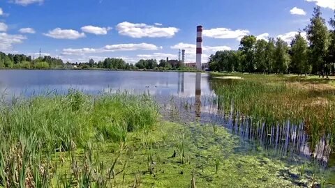 Электрогорск