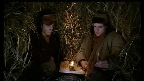 В созвездии быка 2003