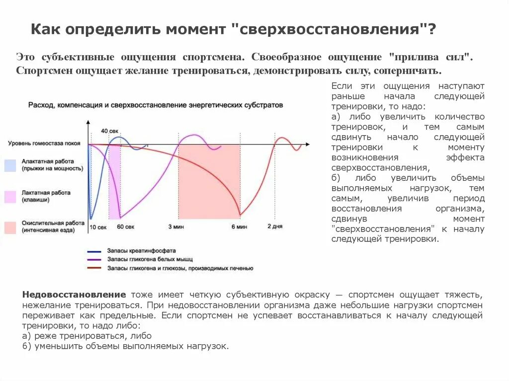 Основы спортивной тренировки. Тренировочные циклы. Тренировки и цикл у женщин. Металлический цикл тренировок это. Циклы подготовки спортсменов