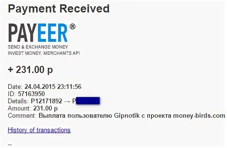 украшение на одежду дискваред с кристаллами. анатомия пистолета. рэперы 2017. P details. Elaktroniy kolyon.