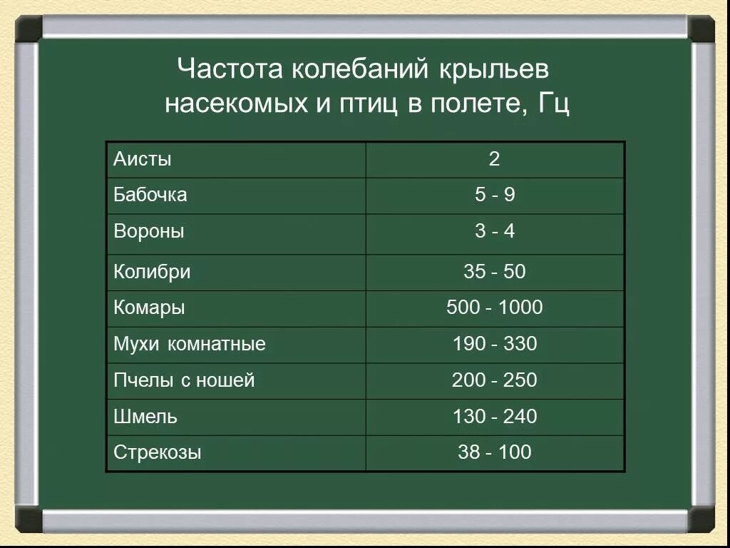 Частота взмаха крыльев шмеля. Частота колебаний крыльев насекомых. Частота колебаний крыльев птицы. Частота колебания крыльев насекомых и птиц. Частота колебаний.