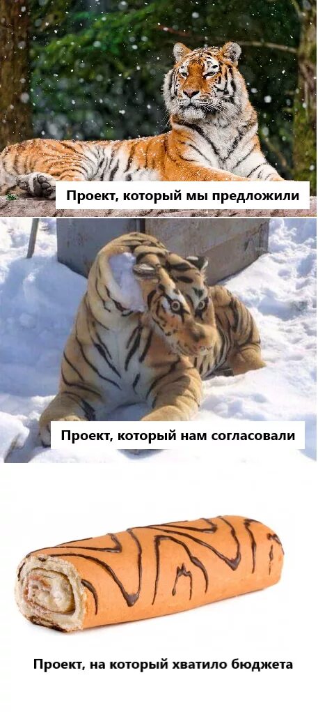 Котенок в отражении тигр. Тигр на 3d принтере. Тигр дополненная реальность. 3д принтер амурский тигр. Животные нарисованные детьми в реальной жизни.