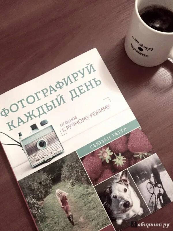 Фотографируй каждый день. Фотографируй каждый день книга. «фотографируй каждый день», сьюзан таттл. Фотографируй каждый день книга. Что фотографировать каждый день.