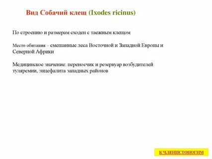 Медицинское значение клещей