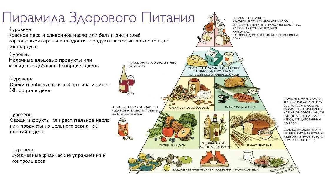 Пищевая диаграмма пирамида. Пирамида питания здорового человека воз. Пищевая пирамида Уолтера виллетта. Состав пирамиды питания. 7 групп продуктов