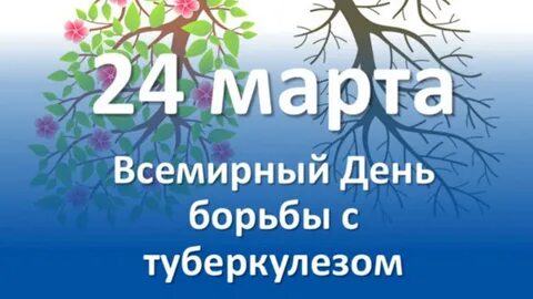 24.03 2024 г