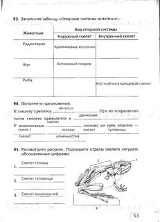 Биология 6 класс стр 53