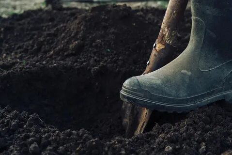 Take a dig