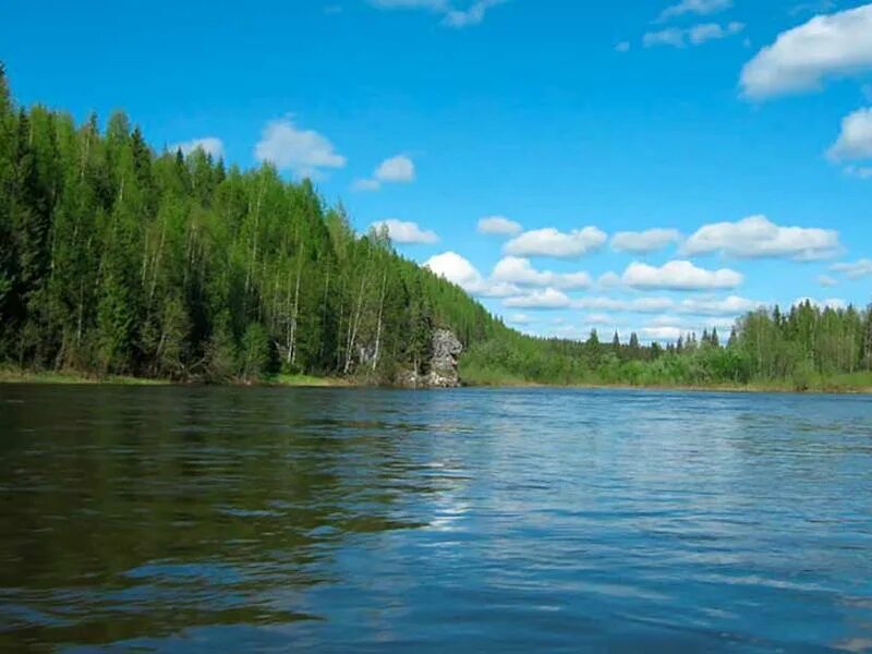 Река печора республика коми. Река Печора. Печора (река) реки Республики Коми. Берег реки Печора.
