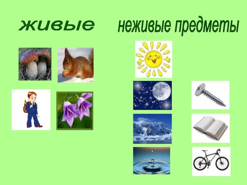 Объекты природы созданный человеком. Живое неживое для детей. Живые и неживые предметы. Объекты живой и неживой природы для дошкольников. Живая и неживая природа для дошкольников.