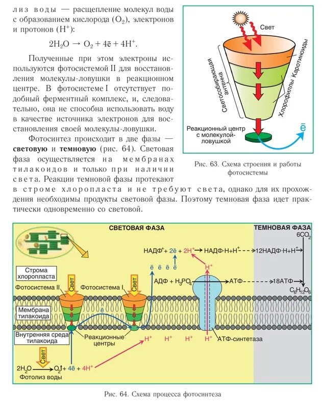 Расщепление молекул воды. Энергии для расщепления молекулы воды. Аппарат для расщепления частиц. Расщепить на молекулы воду. Распад воды