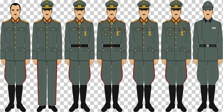 Uniforms and Insignia of the Schutzstaffel. Военная форма по званиям. Вымышленная Военная форма. Униформ Инсигния. Рост военной формы