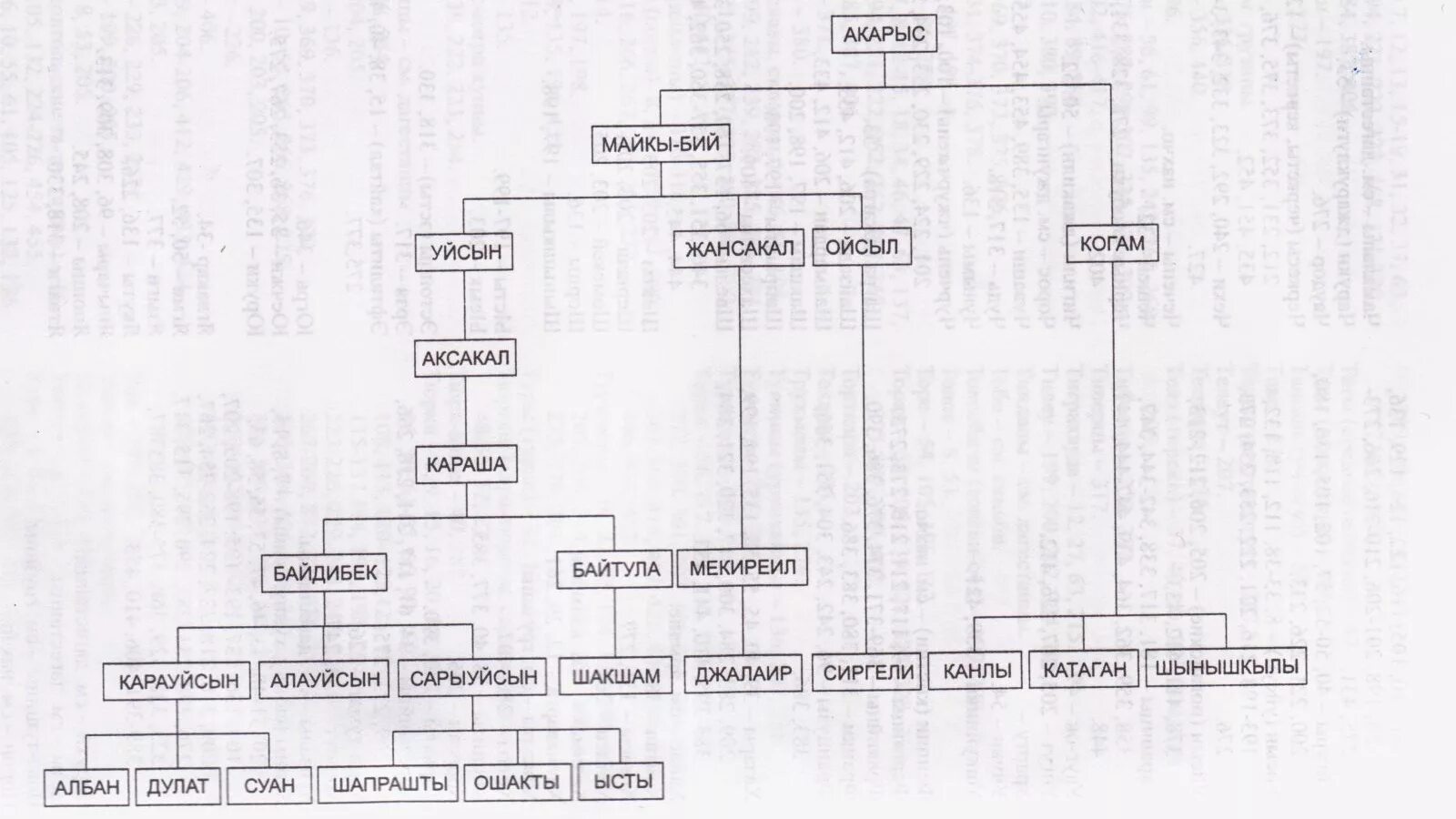 Кіші жүз ханы. Генеалогическое Древо казахов берш. Родословная казахов среднего жуза Найман. Схема Древо рода казахов старшего жуза. Генеалогическое Древо казахов младшего жуза берш.