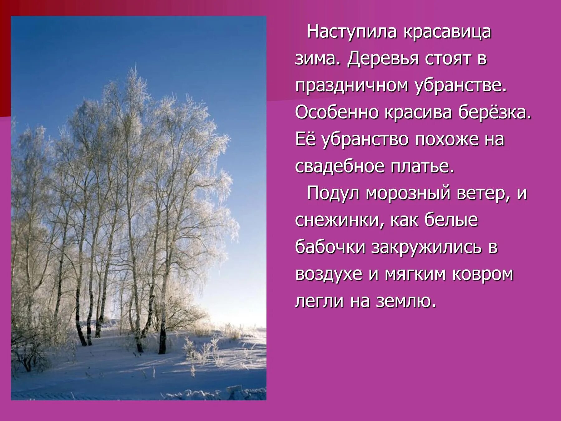 Сочинение на тему зима. Текст про зиму. Красивое описание зимы. Описание деревьев зимой в лесу. Пришла зима с севера подул основная мысль