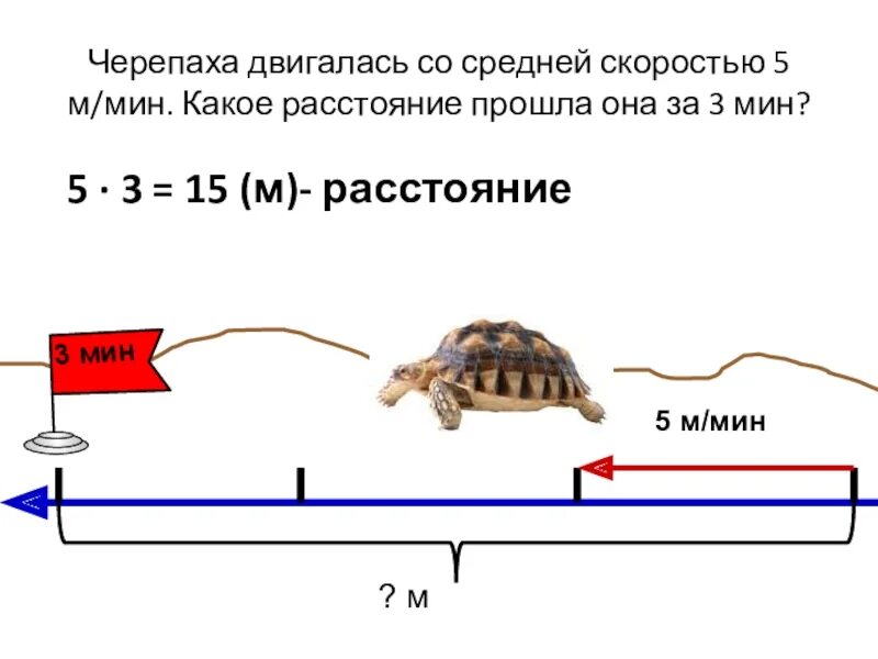 Задачи на скорость время расстояние 4 класс. Черепаха двигалась со скоростью. Скорость черепахи. Черепаха со скоростью 6 м в час. М/с это скорость, время, расстояние ?.