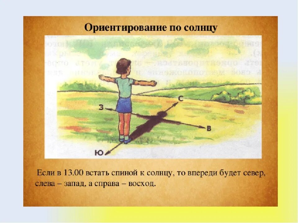 Если вечером встать лицом к солнцу. Ориентирование по солнцу. Схема ориентирования по солнцу. Ориентирование по солнцу и тени. Ориентирование по солнцу для детей.