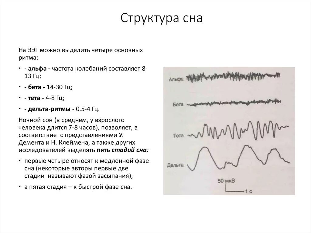 Механизмы бодрствования сна. Механизм медленного и быстрого сна. физиология сна схема. сон фазы сна физиология. психофизиология сна и бодрствования.