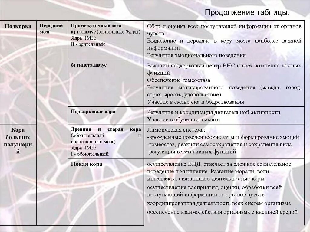 Большие полушария функции таблица. Доли головного мозга строение и функции таблица. Функции долей коры головного мозга таблица. Отдел мозга местоположение функции таблица.