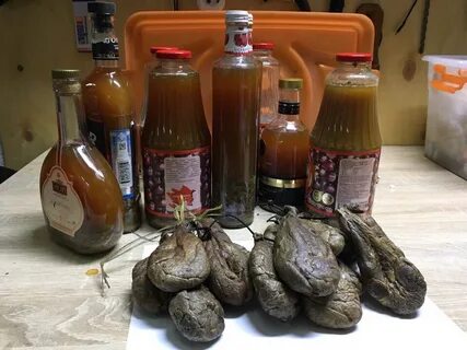 Рецепт приготовления бобровой струи