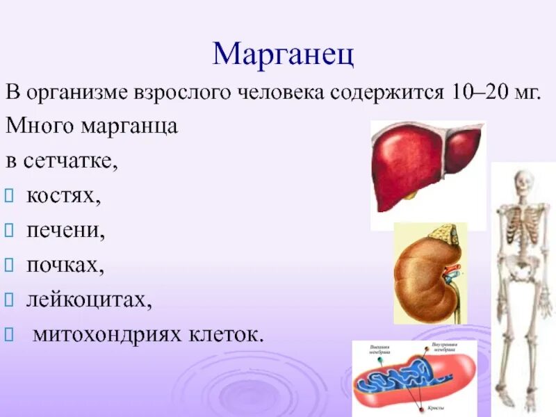 Что содержит марганец. Содержание марганца в организме человека. марганец в организме человека. марганец содержание в организме. значение mn в организме человека.