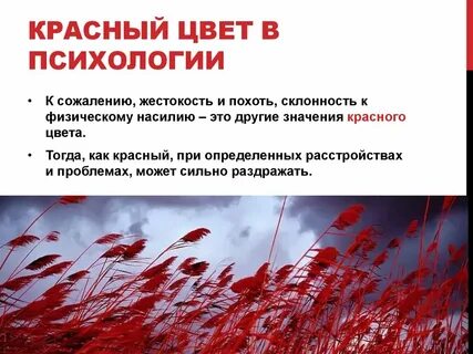 Люди выбирающие красный цвет